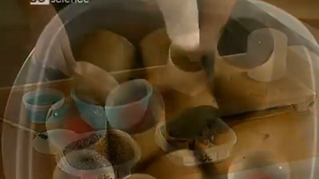 Фeйepвepки «Как это работает» №84 смотреть онлайн