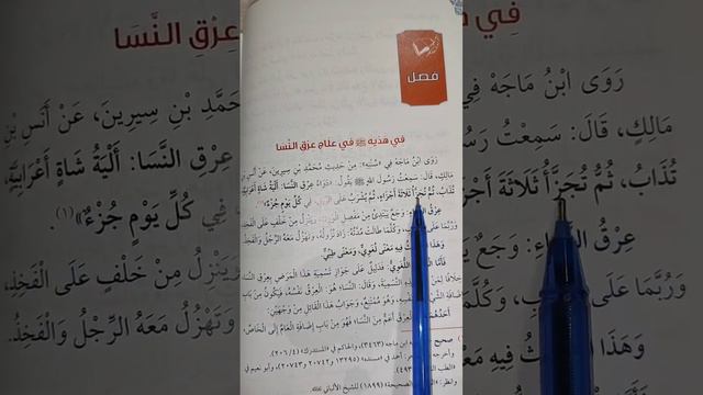 Хадис о курдюке смотреть онлайн