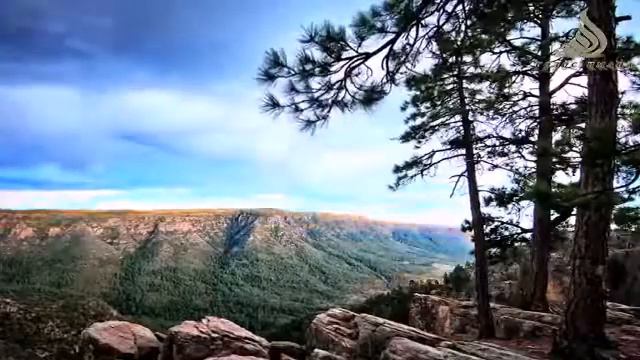 Брат ради Аллаха смотри это видео смотреть онлайн