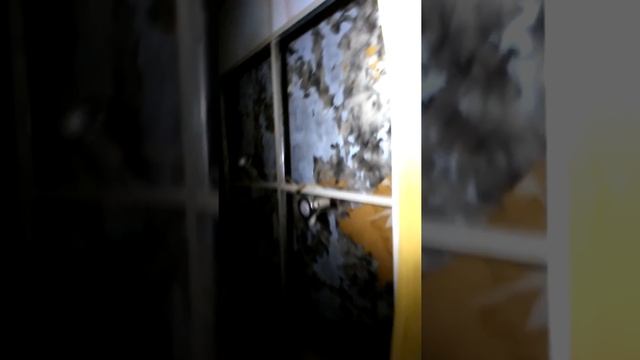 Затопило квартиру! смотреть онлайн