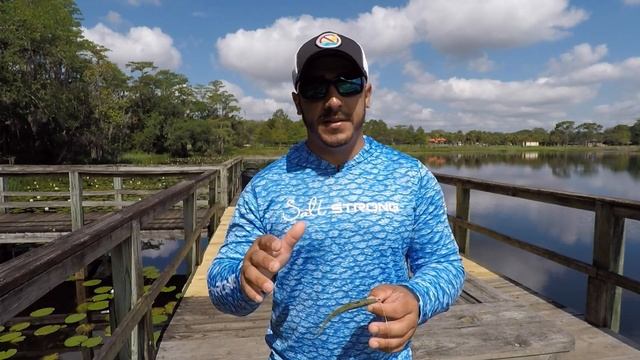 Deadsticking Tactics For Catching Redfish (Using Gulp Baits) смотреть онлайн