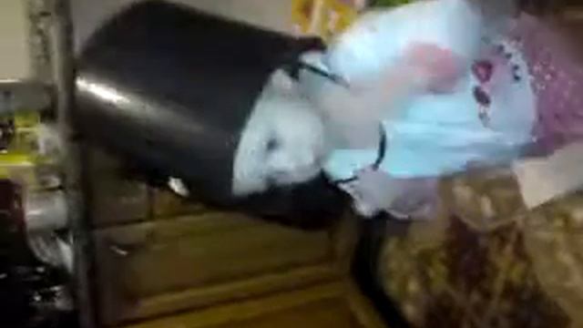 Танец с Ведром.MP4 смотреть онлайн