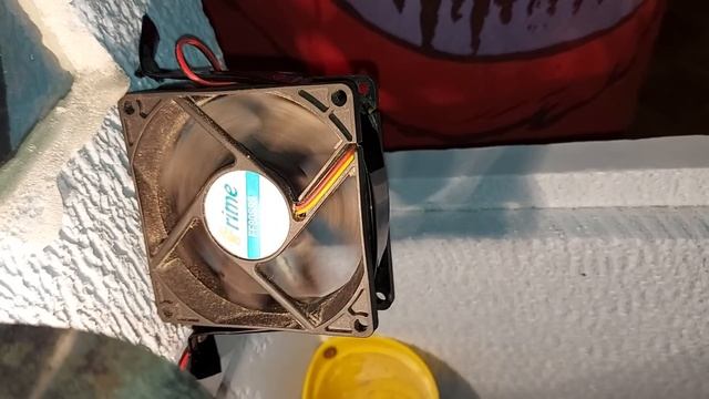 Инкубатор сделал. Собираем яйца. смотреть онлайн