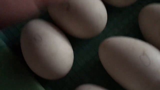 рождение ЧуКа часть первая смотреть онлайн