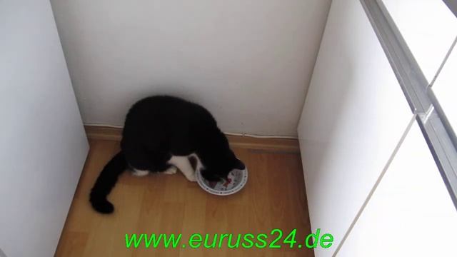 Whiskas Вискас