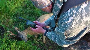 ОХОТА НА КОСУЛЮ С ПОДХОДА, УДАЧНЫЕ ВЫСТРЕЛЫ в кадре