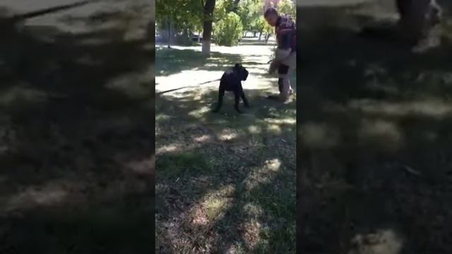 Рабочие будни. смотреть онлайн
