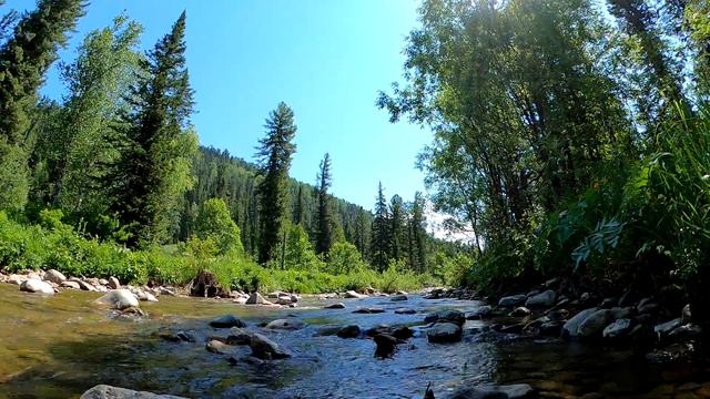 утро, ручей, шум воды, настроение, музыка леса, хороший сон, релакс смотреть онлайн