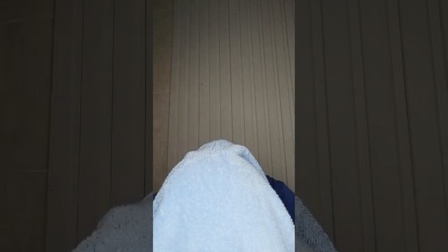 19 декабря 2022 г. смотреть онлайн