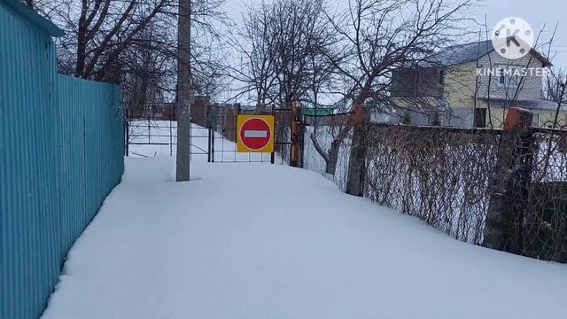Проверили дачу, развязали деревья смотреть онлайн