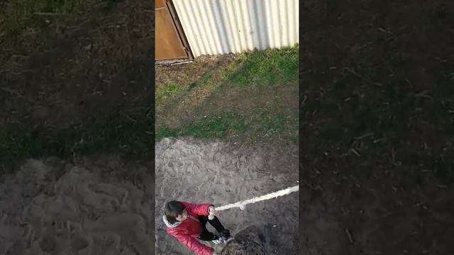 Не может залезть на дерево покататься на канате смотреть онлайн