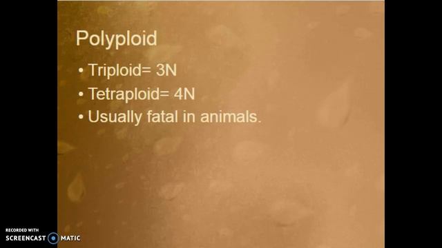 AP Biology - Chapter 15, Part 2 смотреть онлайн