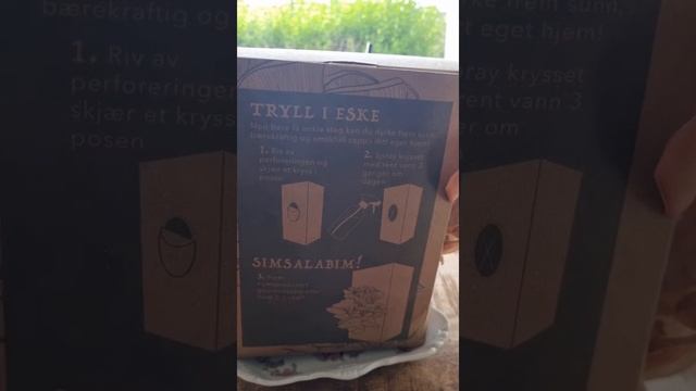 Вырос гриб на подоконнике.Разведение грибов на кофейной гуще. смотреть онлайн