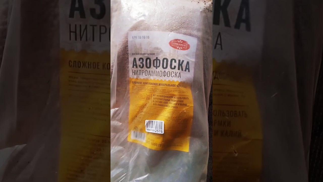 Кормление клубники перед посадкой. Засадили балаган смотреть онлайн
