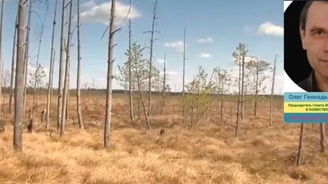 Благочестие смотреть онлайн