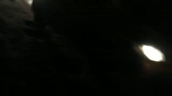 СтопXам спб Колпино полное видео