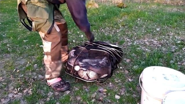 Селец. 02.05.2022. крупный лещ. смотреть онлайн