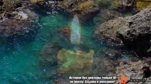 ТЕЩА ЗЯТЬ - ВЪЕХАЛ В ЗАД l РАССКАЖУ ТЕБЕ. ЛЮБОВНЫЕ ИСТОРИИ.