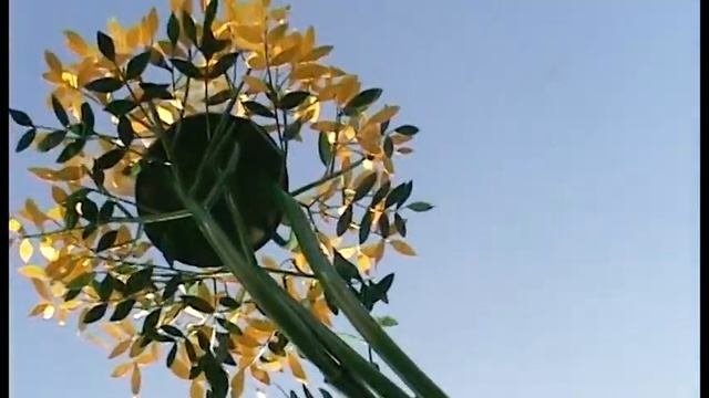 Скульптурный парк Легенда смотреть онлайн