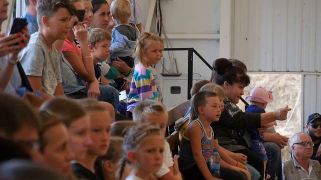 Конный котильон 2020.КСК Мариарт смотреть онлайн