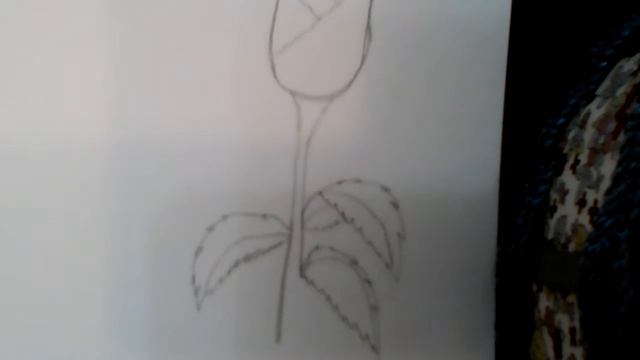 Как рисовать розу?! смотреть онлайн