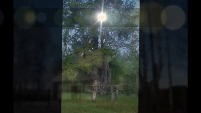 Корткеросский район, Республика Коми смотреть онлайн