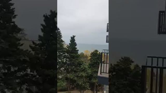 море тут смотреть онлайн