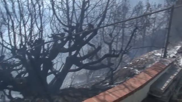 Пожари в Калифорния заплашват именията на звездите смотреть онлайн