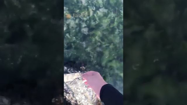 Fishermen eating seafood dinners are too delicious 666 help you stir-fry seafood to broadcast live二 смотреть онлайн