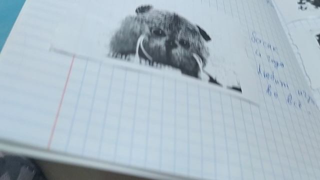 басик рассказывает про много чего смотреть онлайн