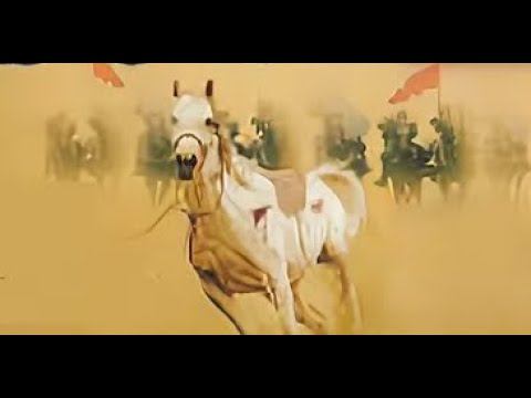 Месть за Хусейна 14 часть