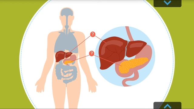 Человеческое тело. Интерактивный мультик смотреть онлайн