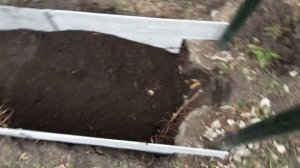 ПОСАДКА МАЛИНЫ/теплая грядка для малины