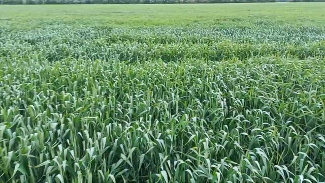 Учим Делать Умно