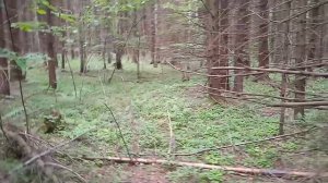 Кто ищет, тот что-нибудь да находит