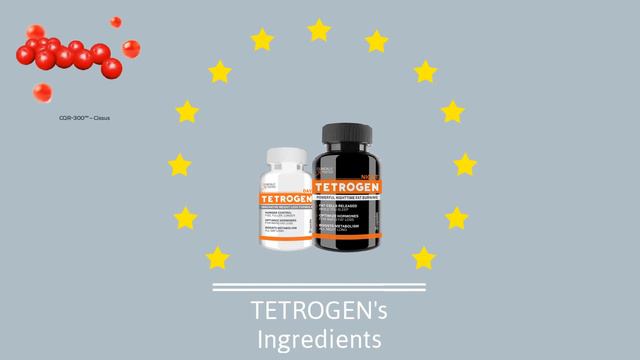 Tetrogen Review - Is It Worth Buying? смотреть онлайн