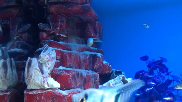 Пескопад смотреть онлайн