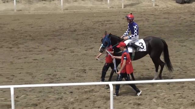 Краснодарский ипподром 5 скаковой день - 17.06.2023г. смотреть онлайн