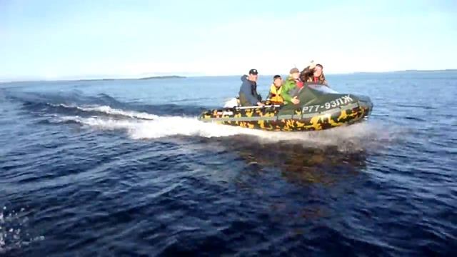 Prof Marine 360 с Honda DF20 смотреть онлайн