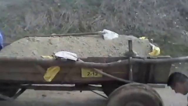 Caii lui Rafael . Probe cai . смотреть онлайн