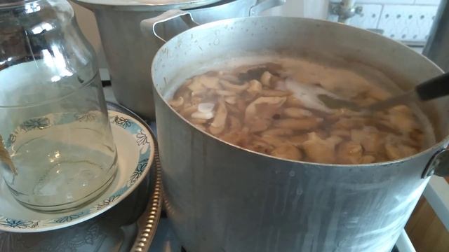 Спортивные Моменты и Экстрим-спорт