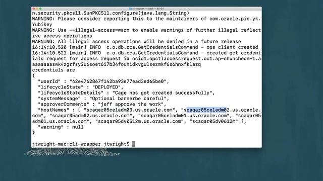 Operator Access Request Processing Demo смотреть онлайн