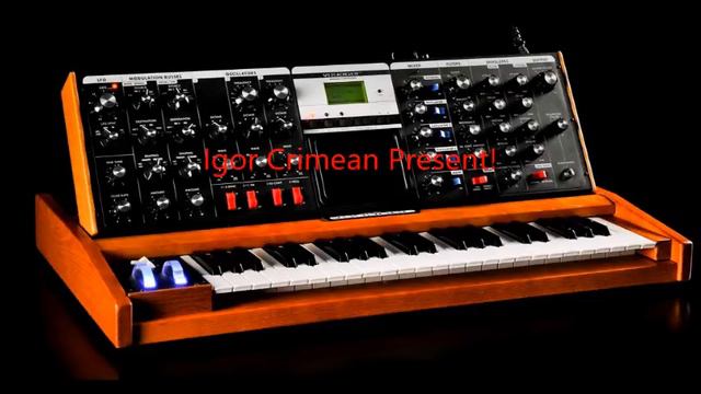 Minimoog Sound Igor Crimean Present Solo 727 4 Short 1 смотреть онлайн