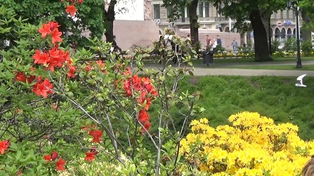 Обзор Риги.Цветочная красота. смотреть онлайн