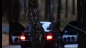 Очень громкий фронт. 3*20 и 1 рупор.(громкая приора)