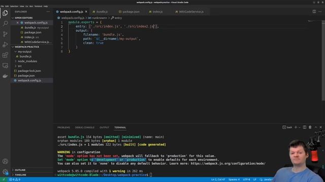 Webpack Entry Points and Output смотреть онлайн