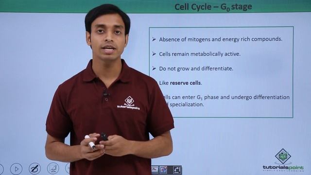 Class 11th - Cell Cycle – G0 Stage | Cell Cycle and Cell Division | Tutorials Point смотреть онлайн