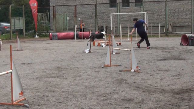 Семенова Александра и колли гш Чипс. D-Open смотреть онлайн