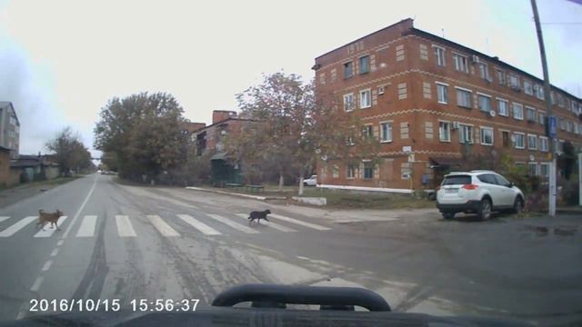 Как правильно переходить дорогу смотреть онлайн