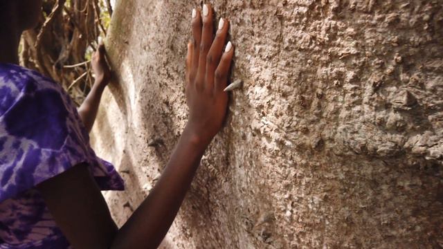 Madam Wokie collection. Sierra Leone. Tasso Island. / Сьерра Леона, Африка, остров Тассо смотреть онлайн